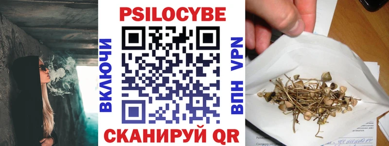 Купить  Красноперекопск  Псилоцибиновые грибы Magic Shrooms 